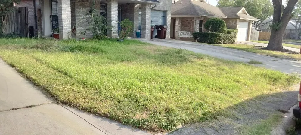 Top-rated landscape design in San Antonio, TX by Gomez & Sons Lawn Maintenance