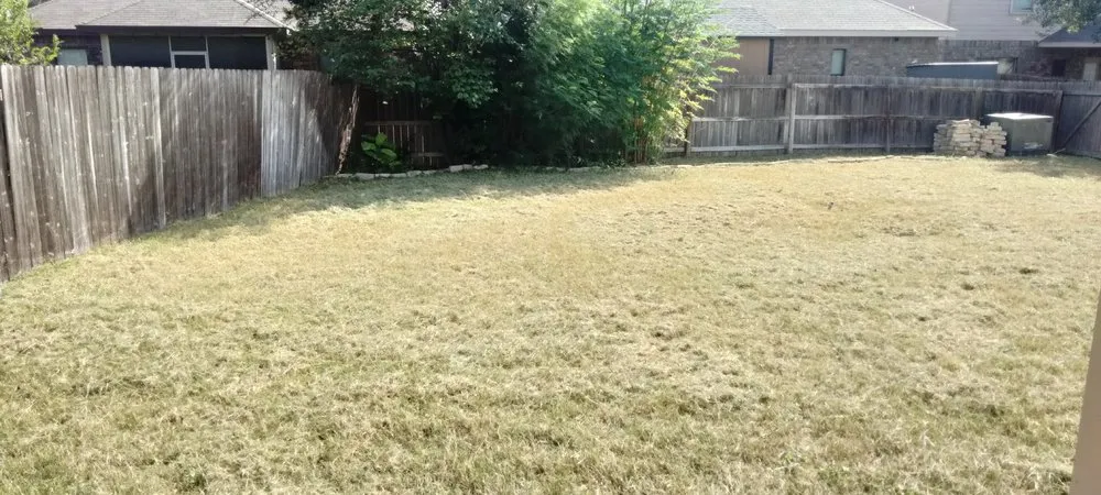 Affordable yard maintenance in San Antonio, TX by Gomez & Sons Lawn Maintenance