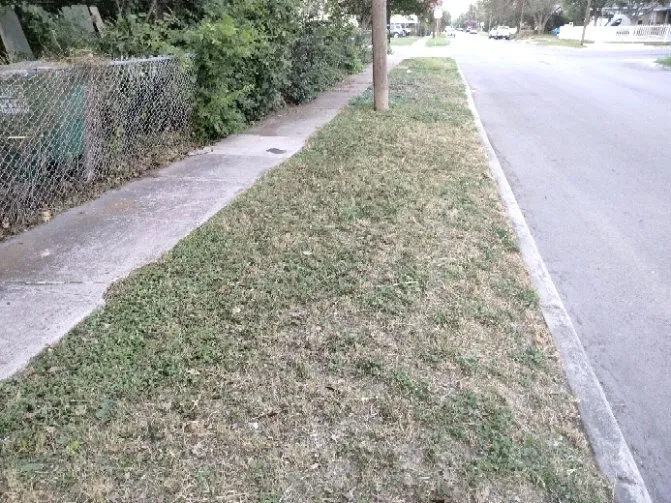 Affordable garden landscaping in San Antonio, TX by Gomez & Sons Lawn Maintenance