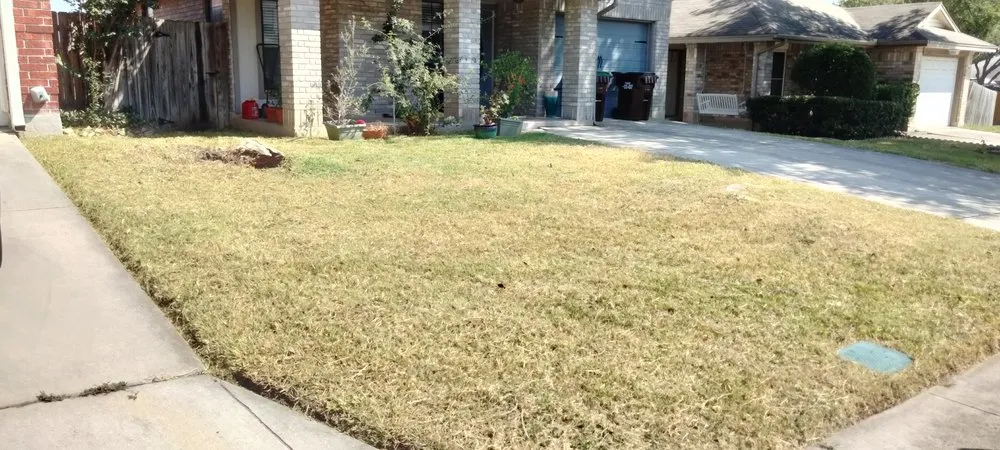 Top-rated garden landscaping experts serving San Antonio, TX - Gomez & Sons Lawn Maintenance