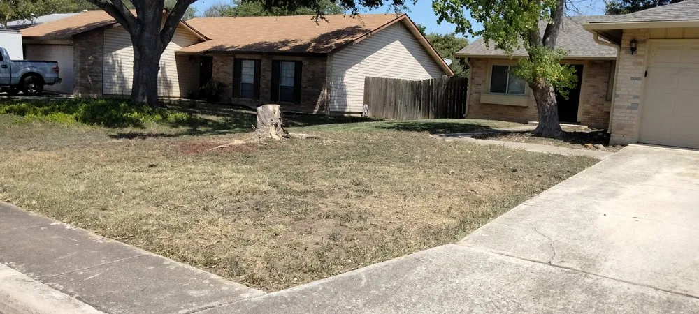 Top-rated yard cleanup service experts serving San Antonio, TX - Gomez & Sons Lawn Maintenance