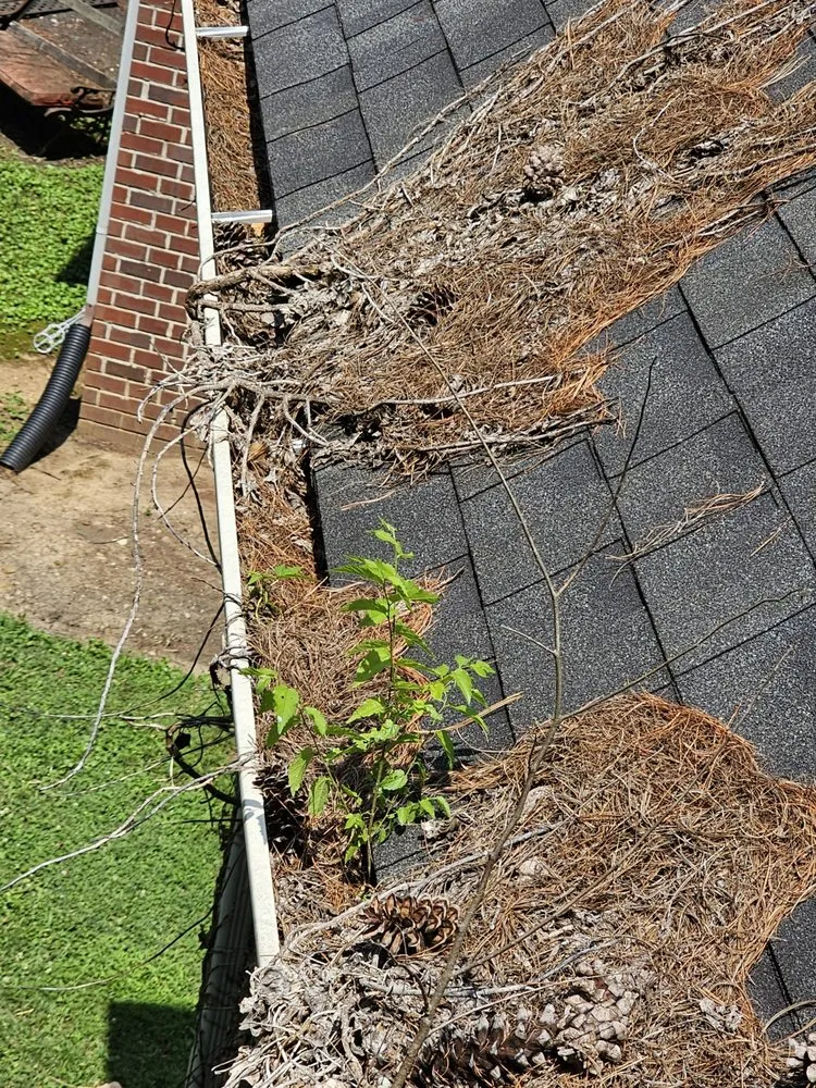 Top-rated lawn care service in Springfield, TN by Gomez And Associate