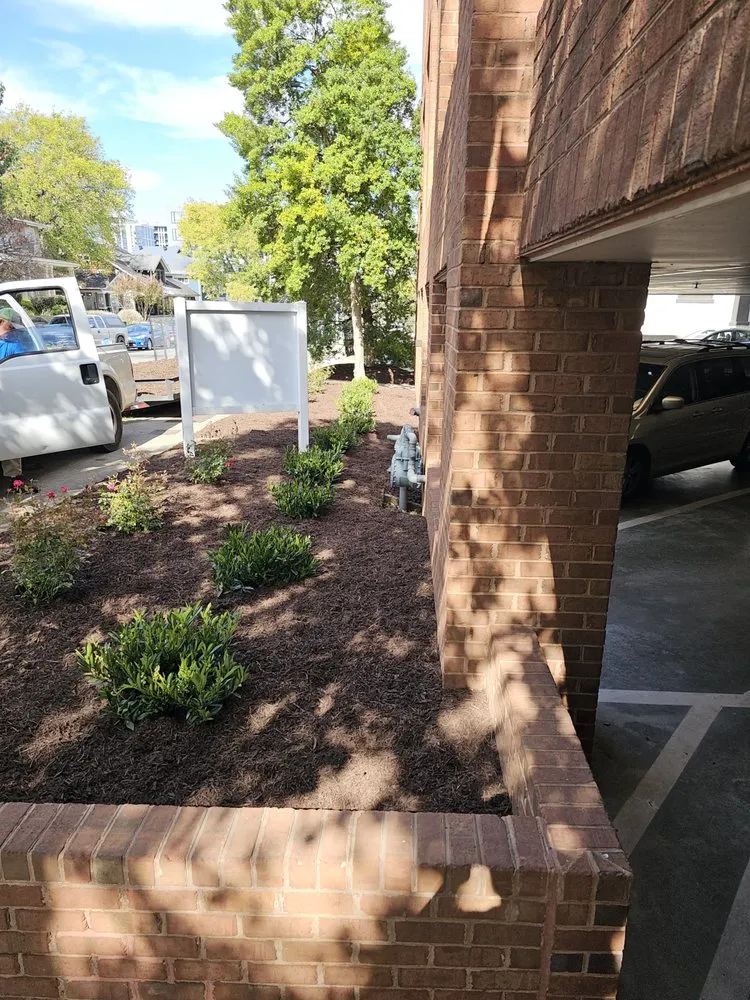 Professional landscape installation in Springfield, TN - Gomez And Associate