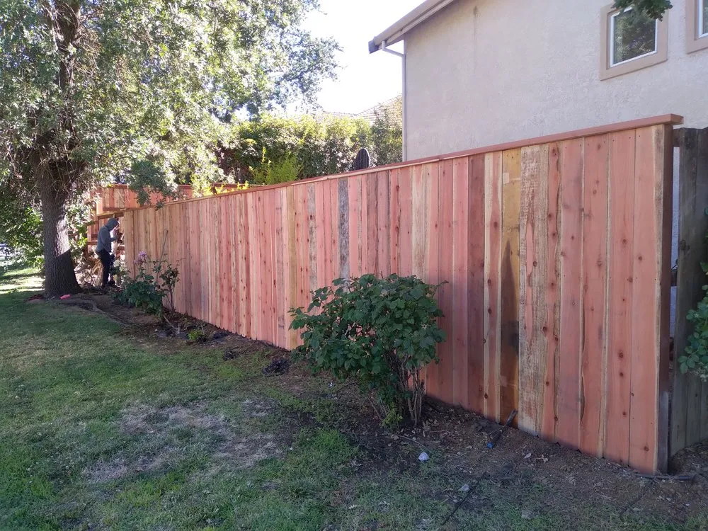 Professional yard maintenance in Sacramento, CA by Gomez Brothers Construction Maintenace and Landscape Services