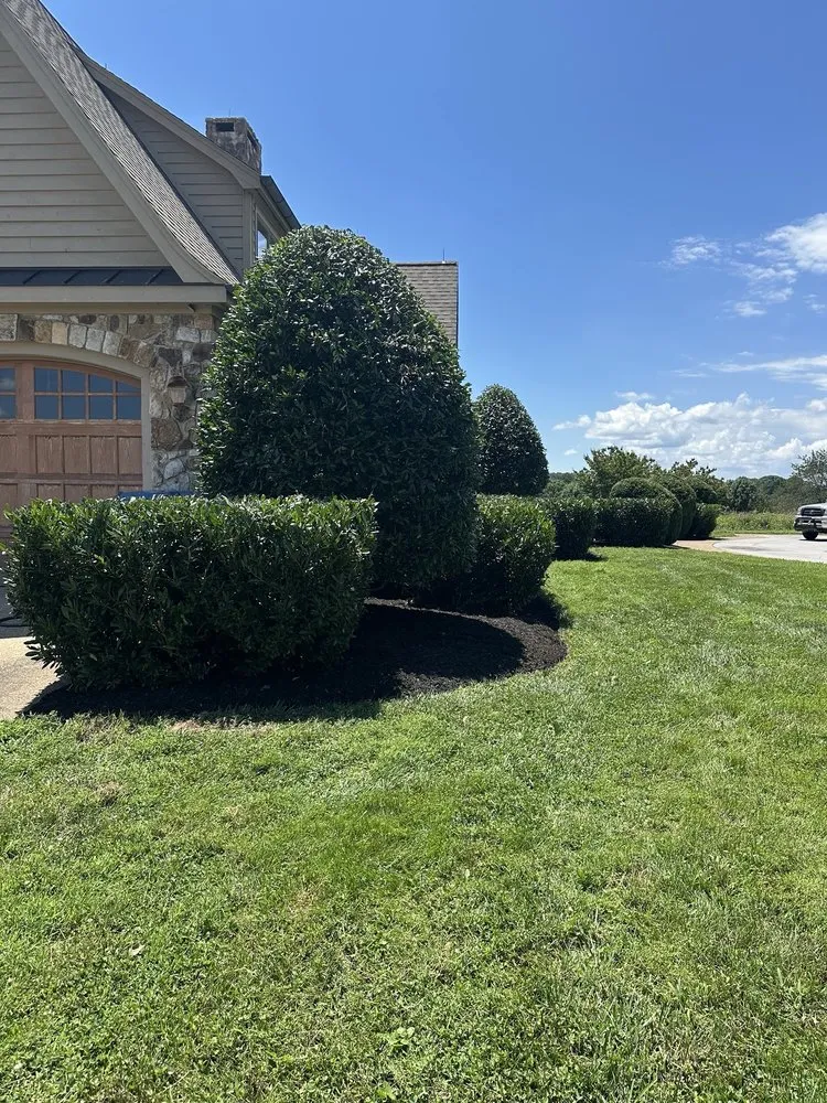 Reliable yard cleanup service for homes in Abingdon, VA by Gomez Brothers Landscaping