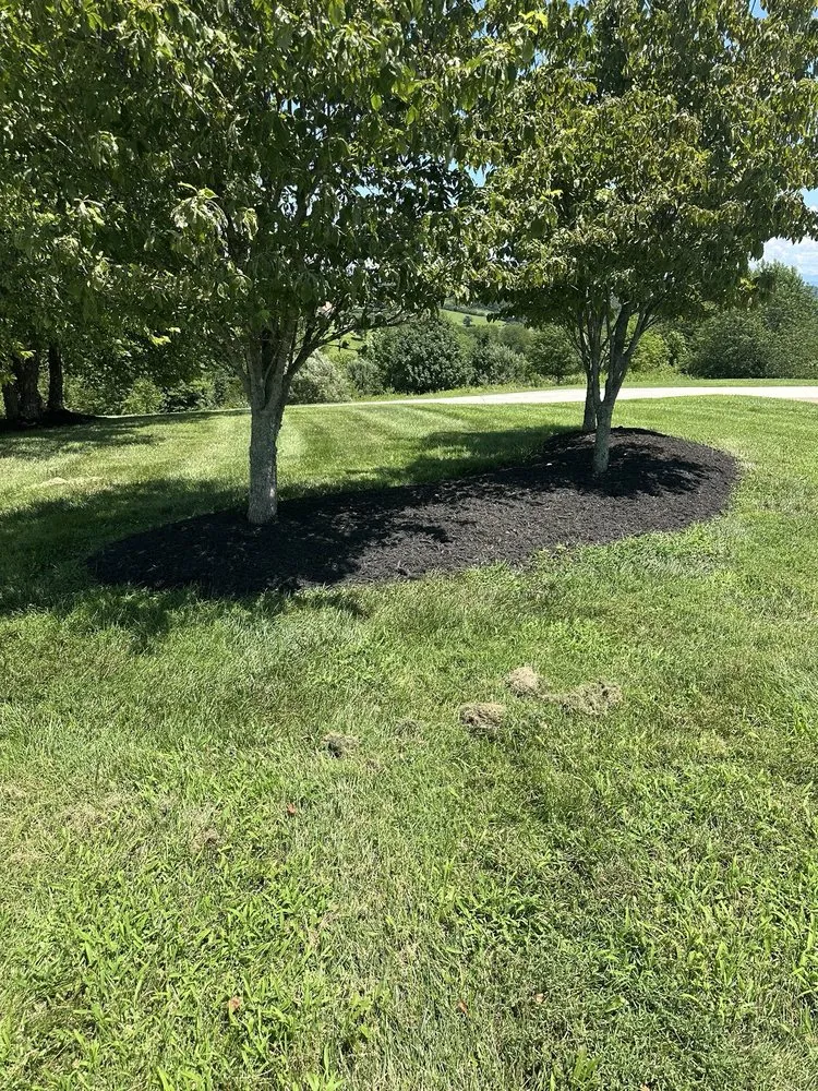 Top-rated lawn mowing service experts serving Abingdon, VA - Gomez Brothers Landscaping