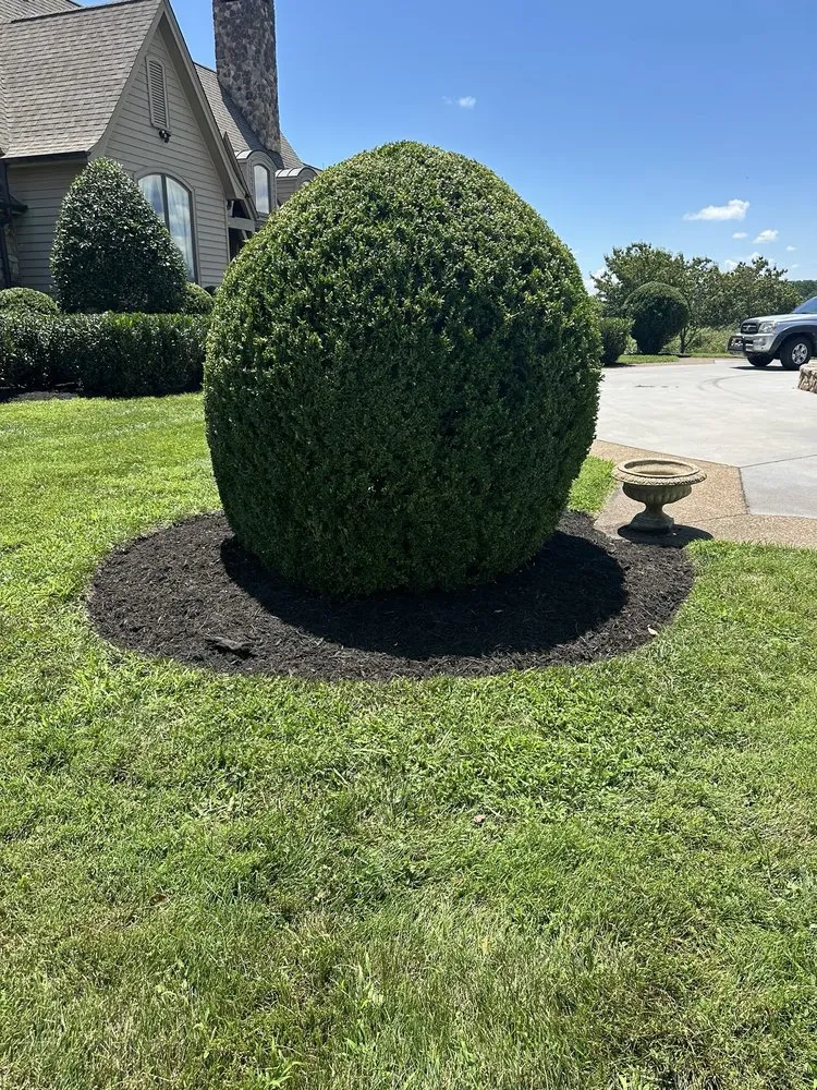 Expert yard maintenance in Abingdon, VA by Gomez Brothers Landscaping