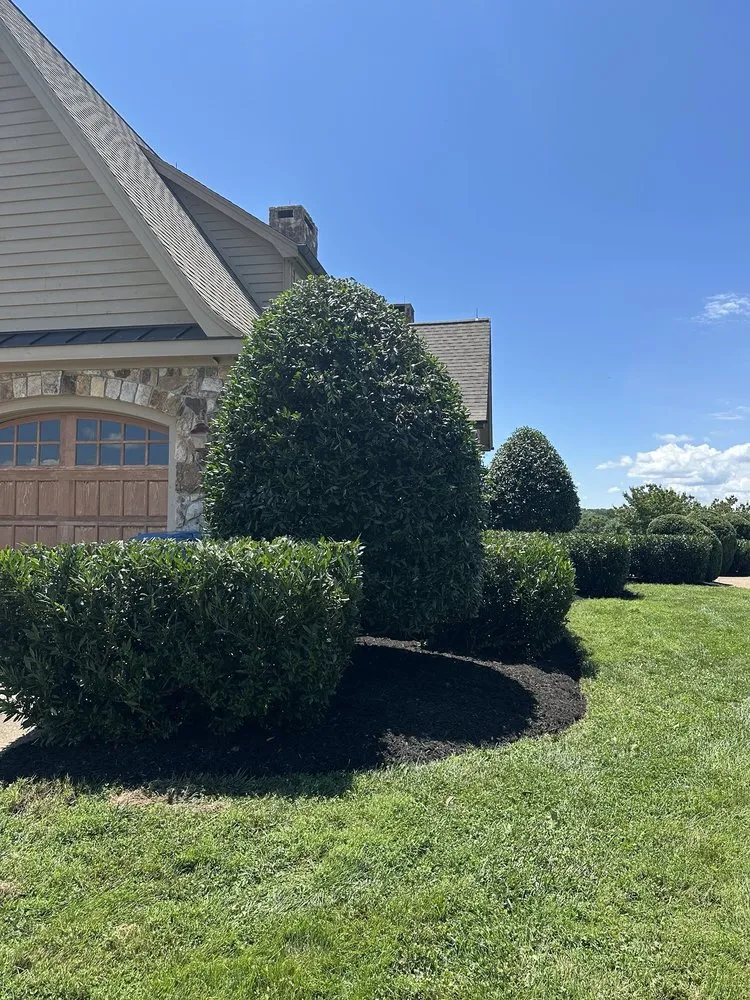 Top-rated yard cleanup service in Abingdon, VA by Gomez Brothers Landscaping