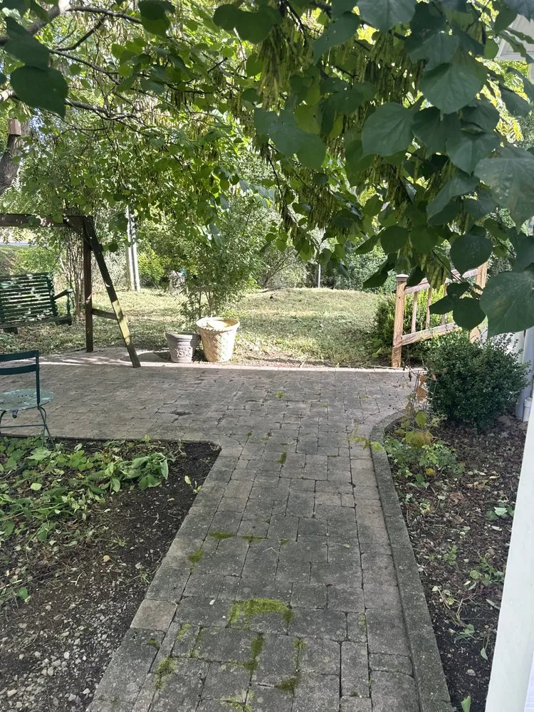 Trusted yard cleanup service in Abingdon, VA by Gomez Brothers Landscaping