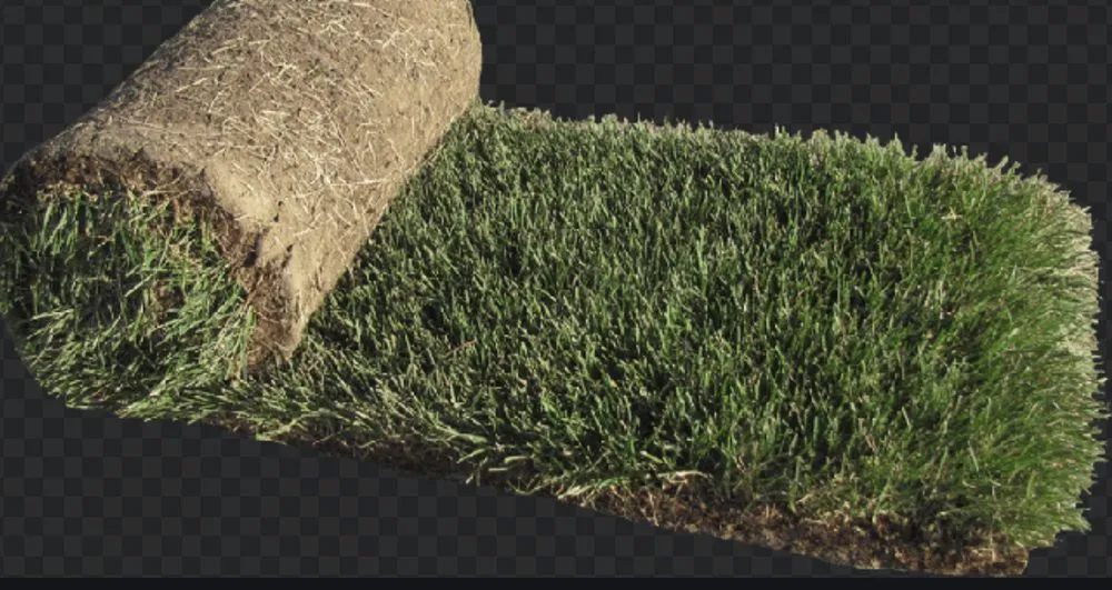 Reliable lawn care service for homes across Los Gatos, CA - Gomez Campo Verde Landscaping & Gardening