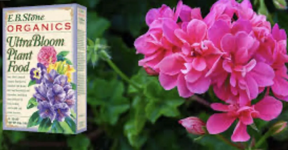 Custom residential landscaping in Los Gatos, CA - Gomez Campo Verde Landscaping & Gardening