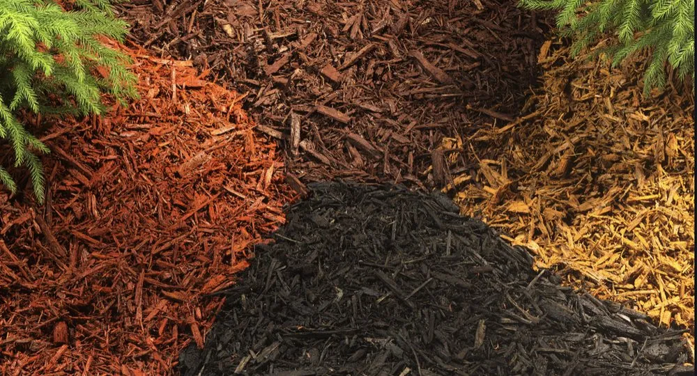 Professional garden landscaping in Los Gatos, CA - Gomez Campo Verde Landscaping & Gardening