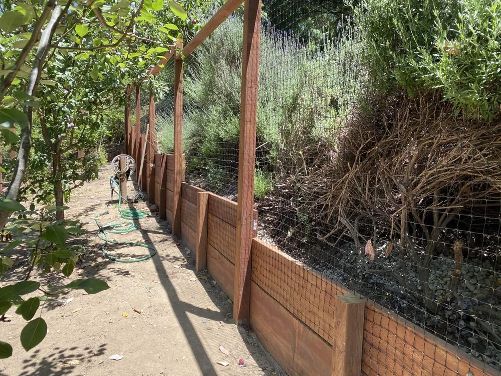 Custom lawn mowing service experts serving Los Gatos, CA - Gomez Campo Verde Landscaping & Gardening