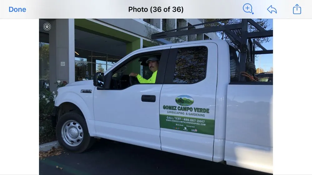 Trusted landscaping services in Los Gatos, CA by Gomez Campo Verde Landscaping & Gardening