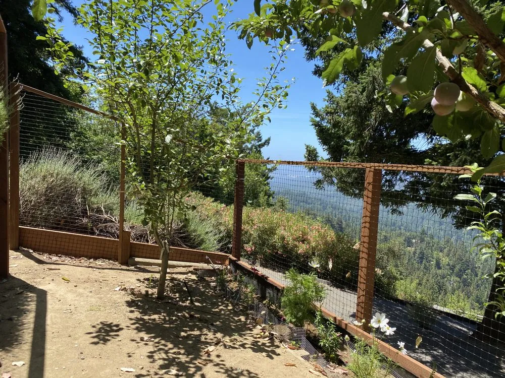 Custom yard cleanup service experts serving Los Gatos, CA - Gomez Campo Verde Landscaping & Gardening