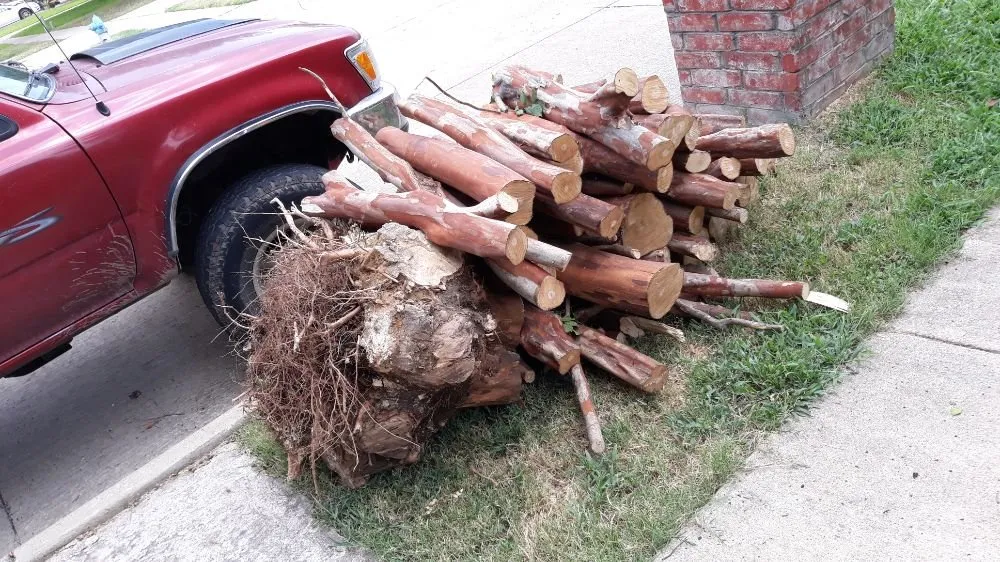 Local lawn mowing service in Plano, TX - Gomez Fine Landscaping