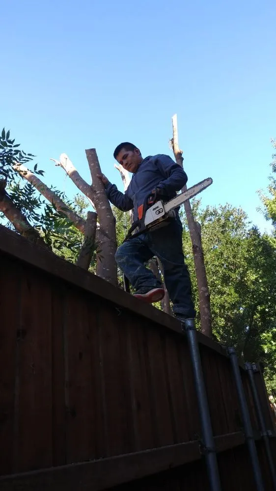 Expert landscaping services for outdoor upgrades across Plano, TX - Gomez Fine Landscaping