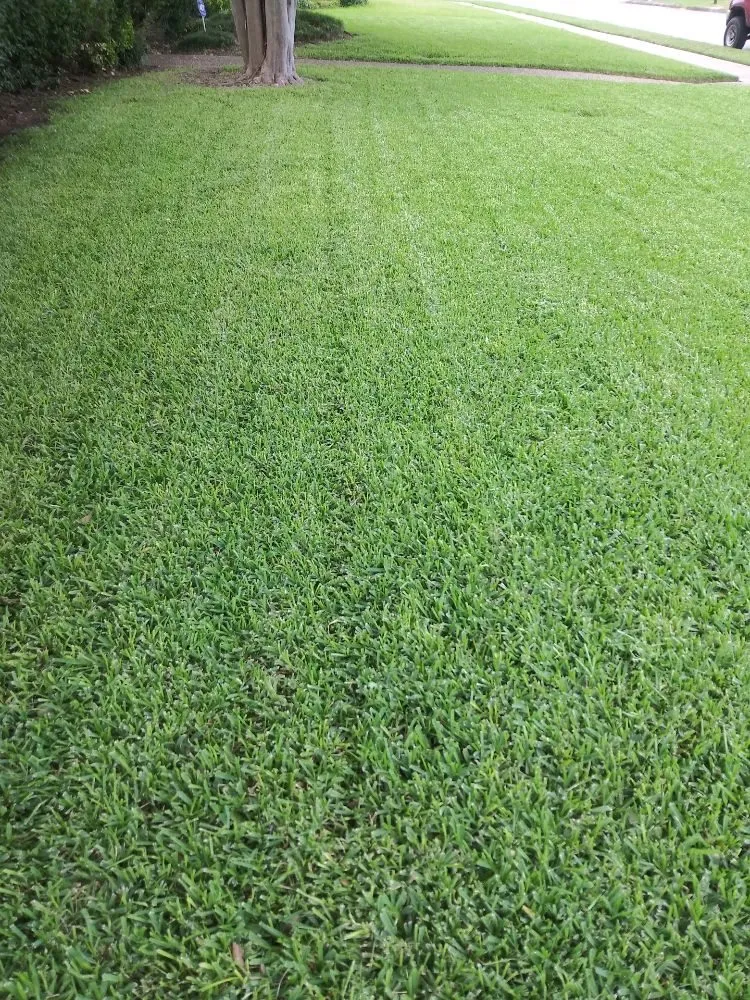 Trusted outdoor landscaping experts serving Plano, TX - Gomez Fine Landscaping