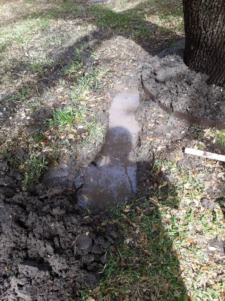 Professional yard maintenance for outdoor upgrades in Plano, TX by Gomez Fine Landscaping