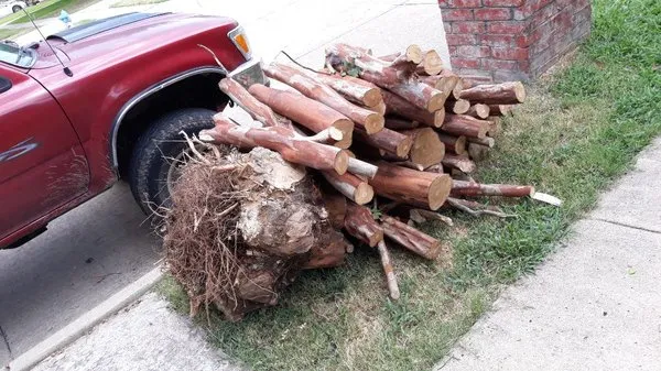 Gomez Fine Landscaping Logo