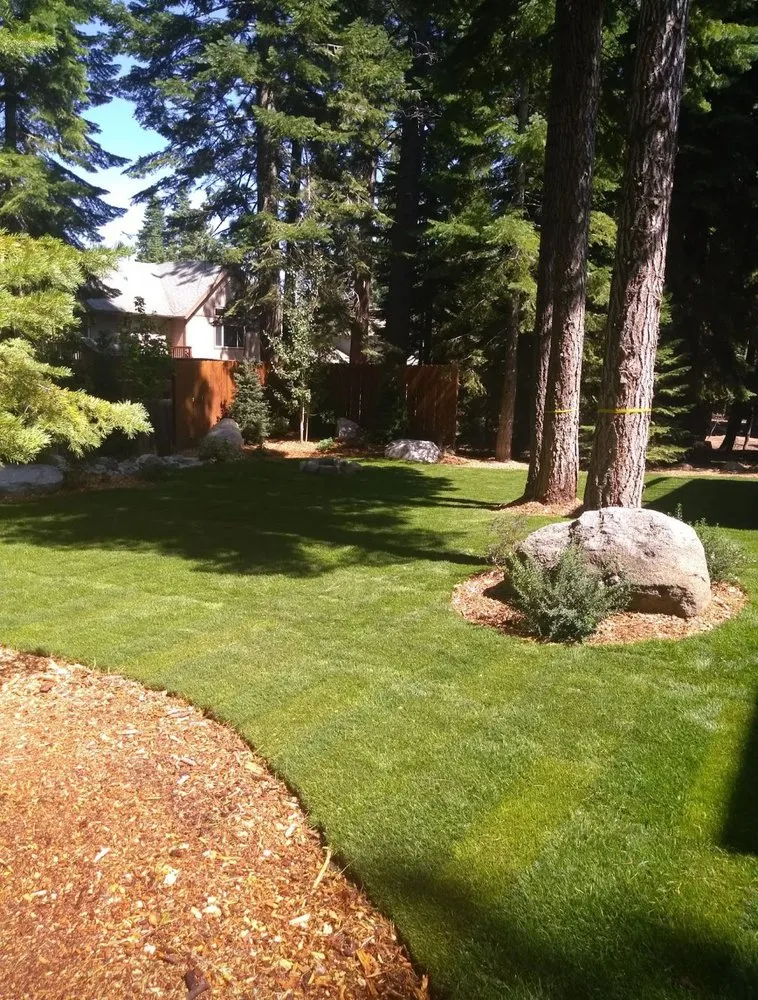 Expert lawn care service experts serving South Lake Tahoe, CA - Gomez Garden