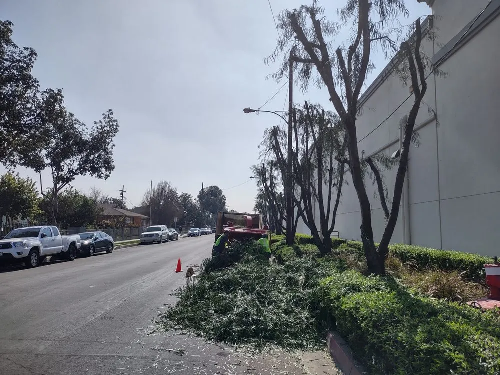 Professional landscaping services experts serving Duarte, CA - Gomez Gardening and Landscaping