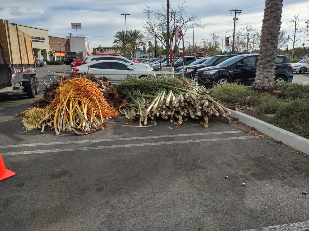 Custom residential landscaping in Duarte, CA - Gomez Gardening and Landscaping