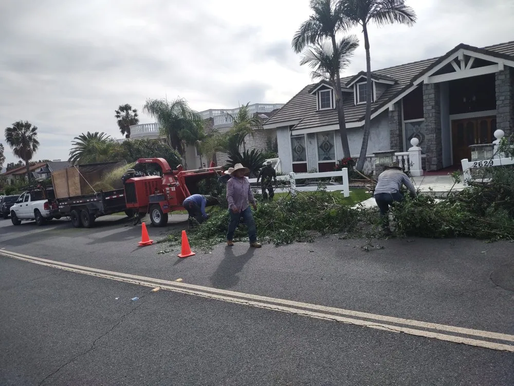 Local garden landscaping for beautiful yards across Duarte, CA - Gomez Gardening and Landscaping
