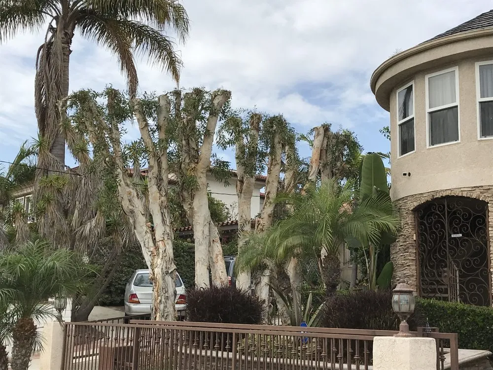 Expert garden landscaping for residential properties across Mission Viejo, CA - Gomez Gardening