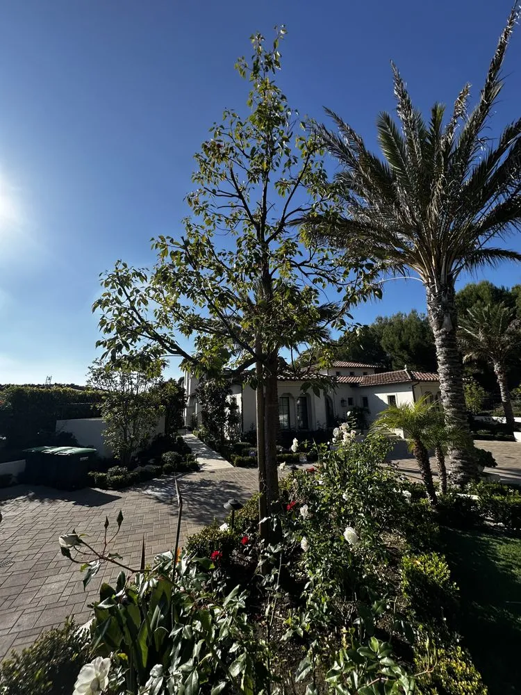 Custom garden landscaping experts serving Mission Viejo, CA - Gomez Gardening