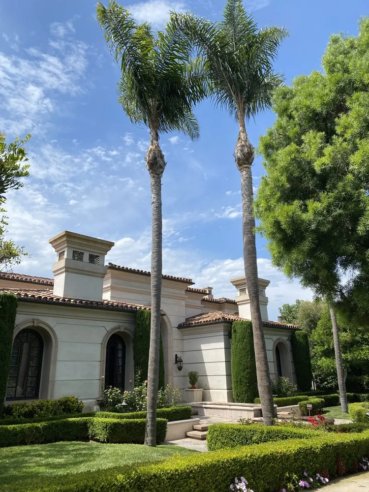 Local yard cleanup service for year-round maintenance in Mission Viejo, CA by Gomez Gardening