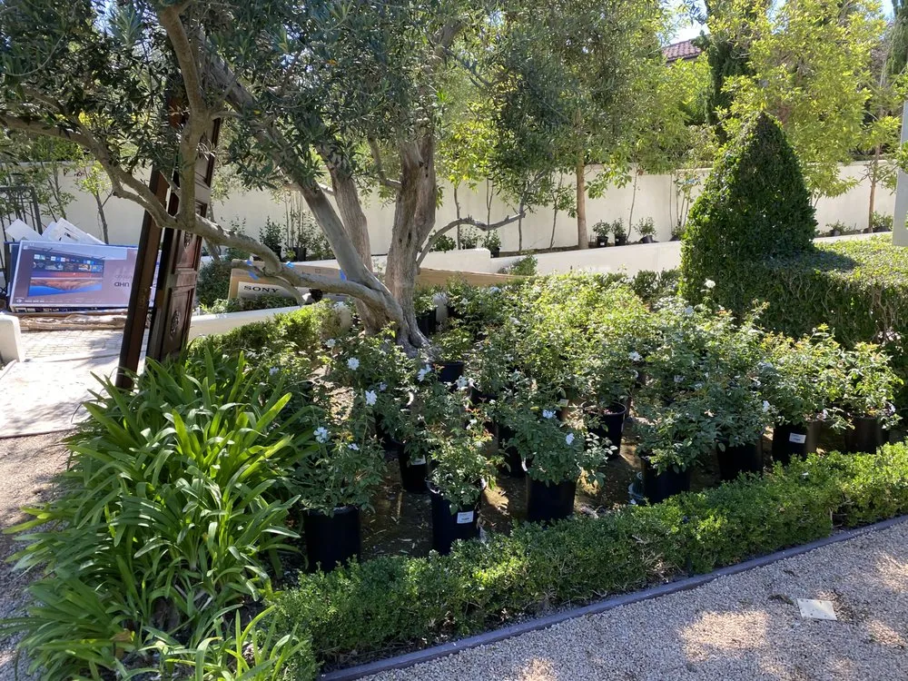 Trusted landscape design for year-round maintenance across Mission Viejo, CA - Gomez Gardening