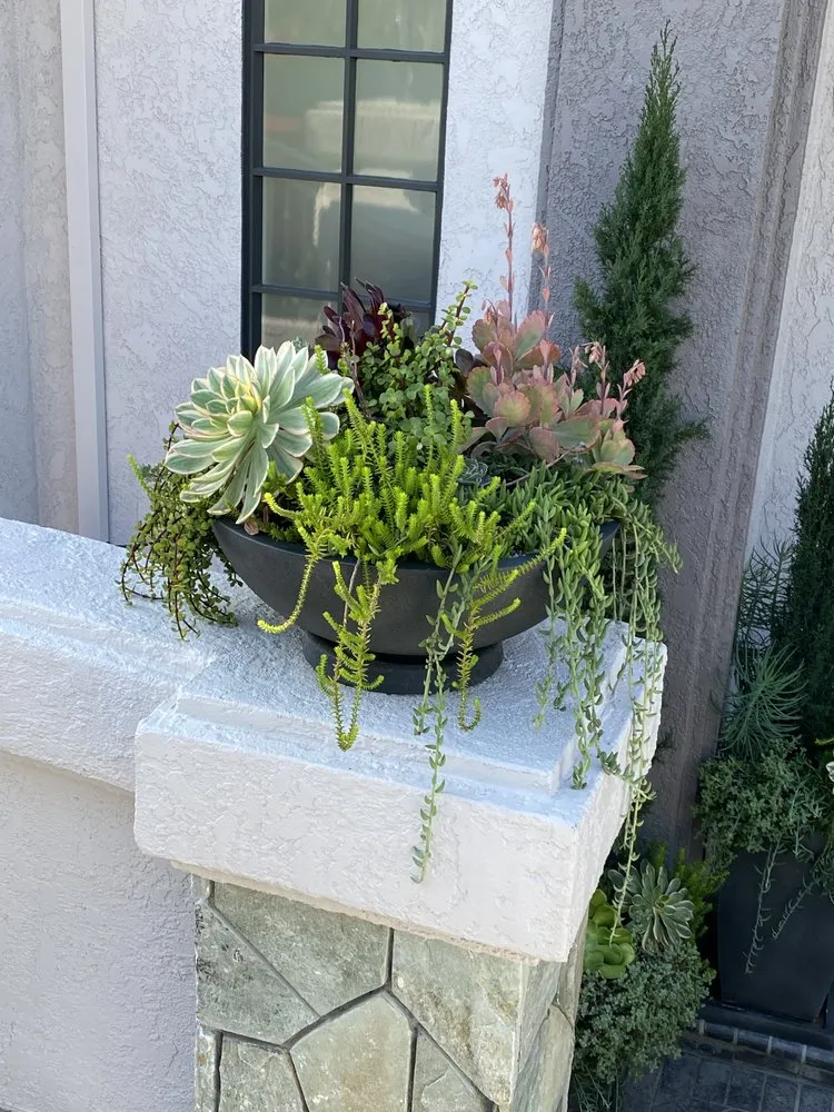 Reliable outdoor landscaping in Mission Viejo, CA - Gomez Gardening