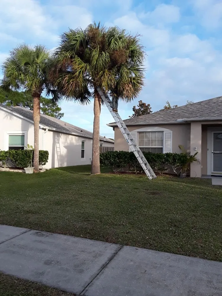 Trusted yard cleanup service in Melbourne, FL by Gomez J landscaping