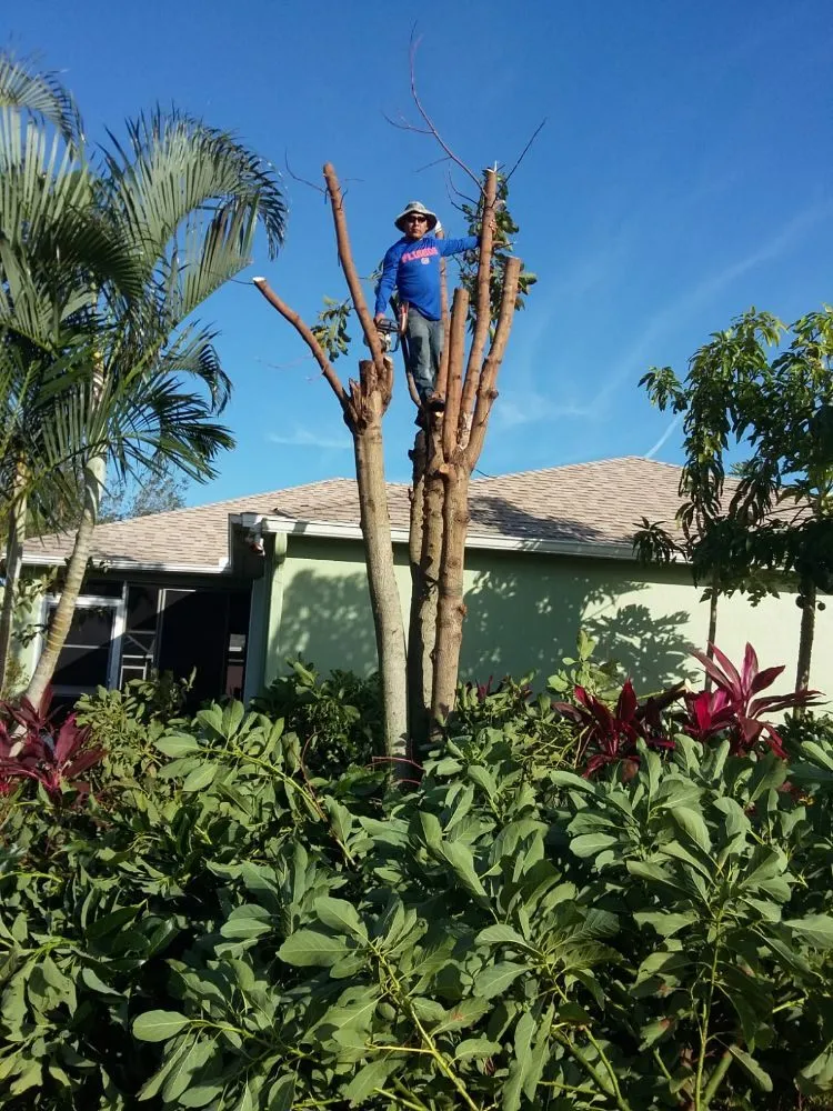 Reliable landscape installation experts serving Melbourne, FL - Gomez J landscaping