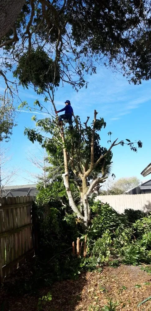 Custom garden landscaping for residential properties in Melbourne, FL by Gomez J landscaping