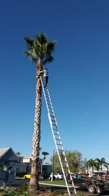 Gomez J landscaping Logo