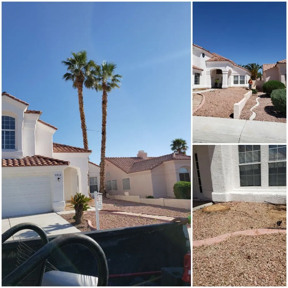 Expert yard cleanup service for residential properties in Las Vegas, NV by Gomez Landscape