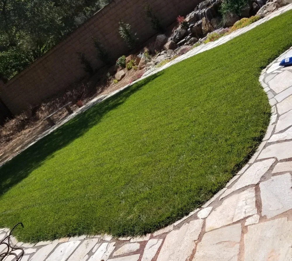Expert yard maintenance near you across Sacramento, CA - Gomez Landscape Maintenance