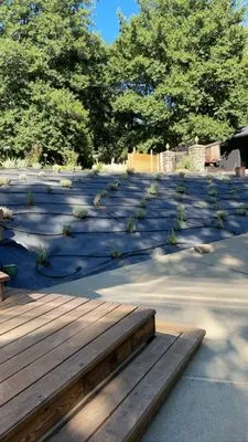 Gomez Landscape Logo