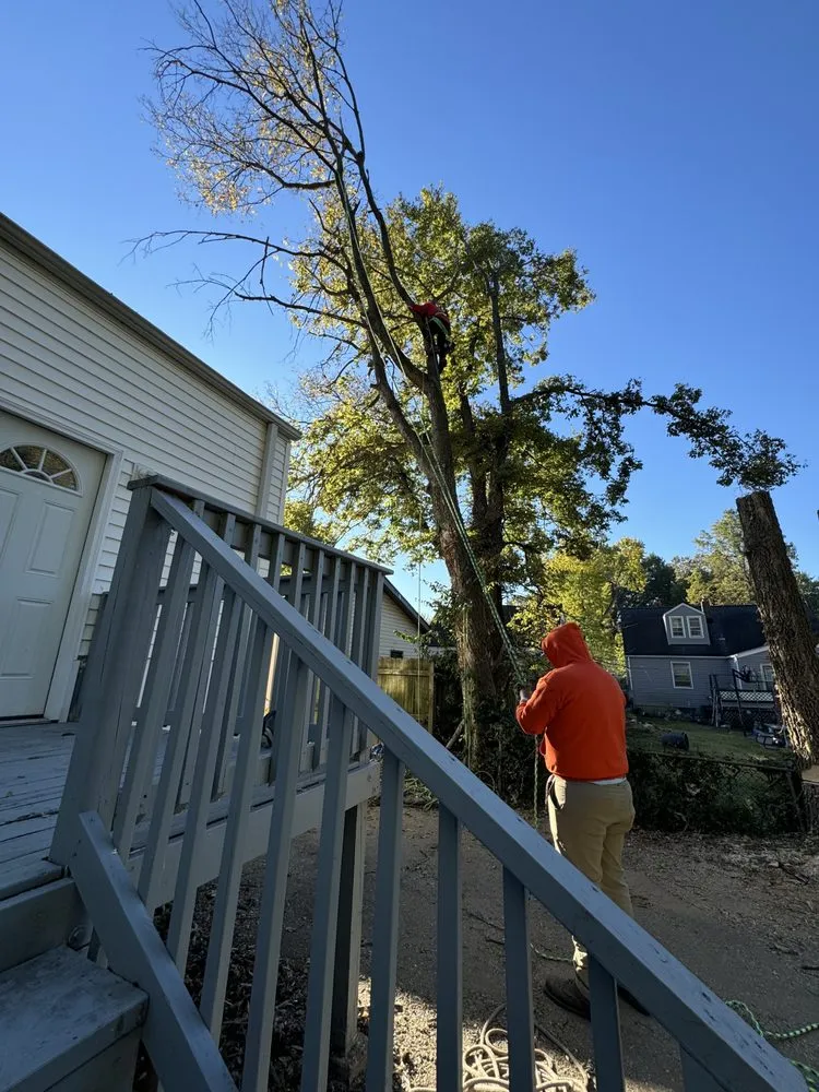 Expert residential landscaping experts serving Saint Louis, MO - Gomez Landscaping & Tree Services