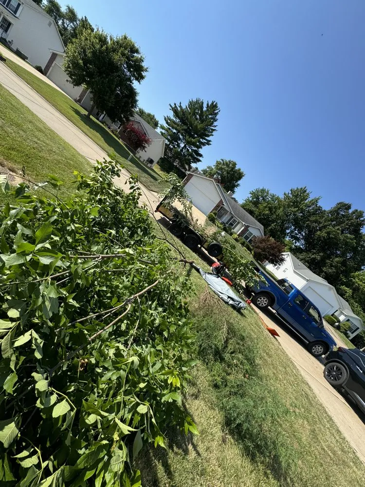 Expert residential landscaping in Saint Louis, MO by Gomez Landscaping & Tree Services