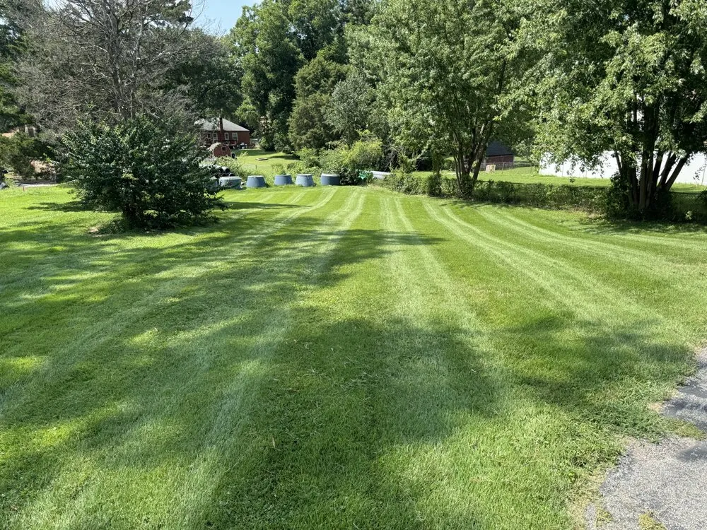 Reliable yard maintenance near you across Saint Louis, MO - Gomez Landscaping & Tree Services