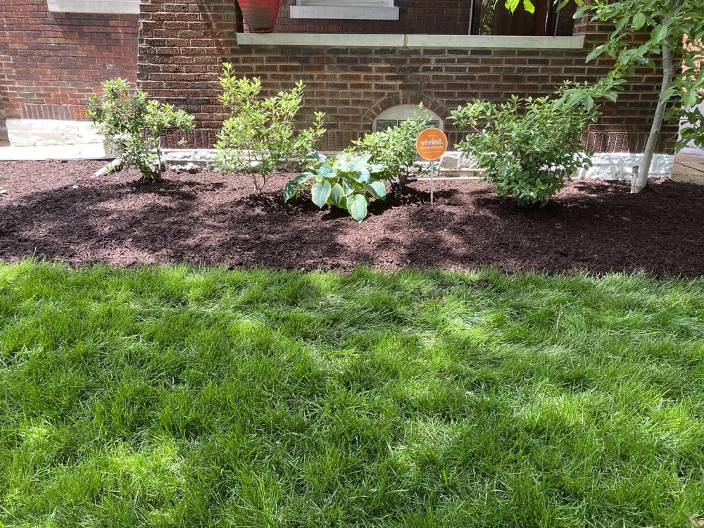 Professional yard maintenance experts serving Saint Louis, MO - Gomez Landscaping & Tree Services