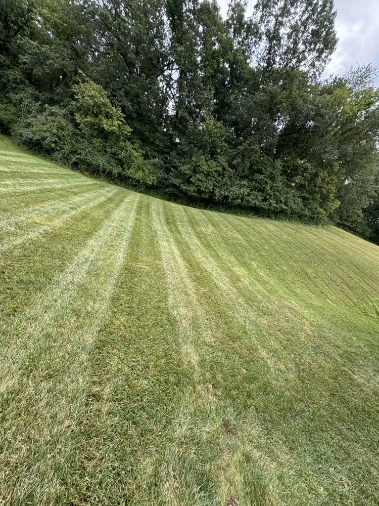 Expert lawn care service with custom design in Saint Louis, MO by Gomez Landscaping & Tree Services