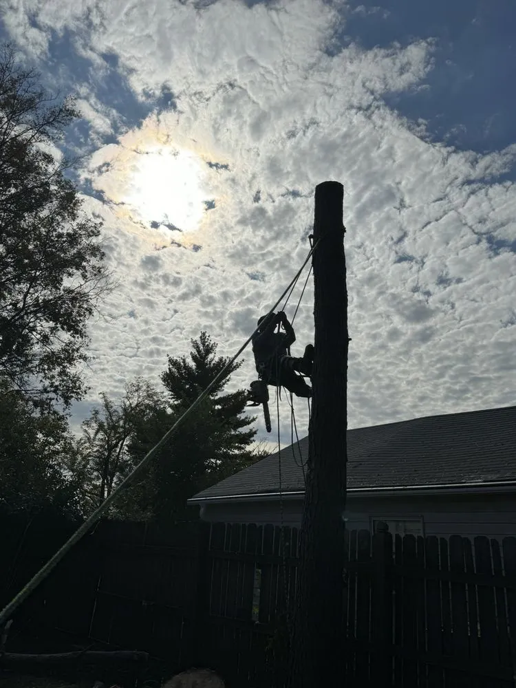 Top-rated residential landscaping in Saint Louis, MO by Gomez Landscaping & Tree Services