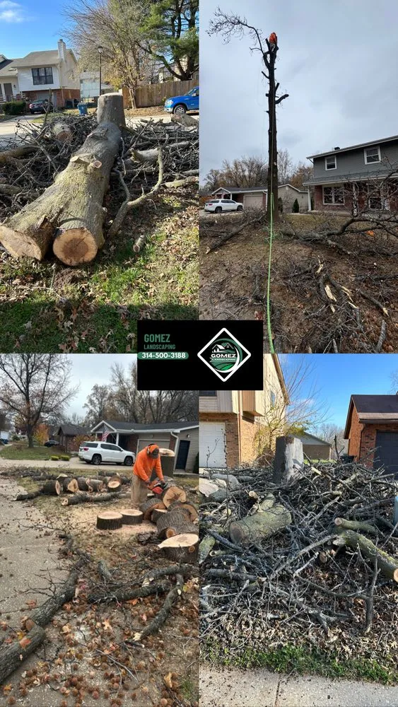 Expert outdoor landscaping in Saint Louis, MO by Gomez Landscaping & Tree Services