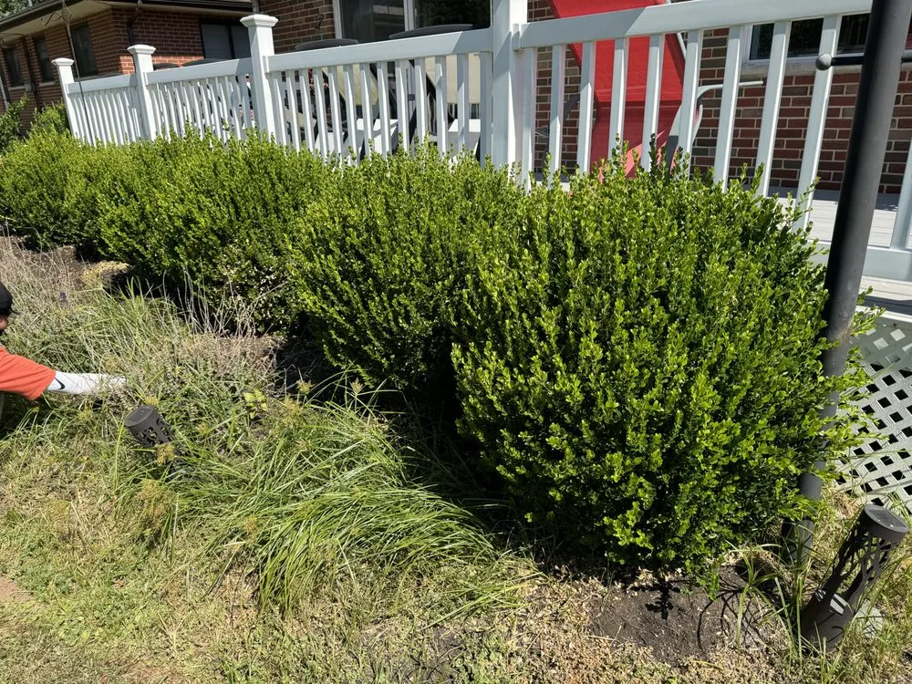 Reliable landscape installation for residential properties across Saint Louis, MO - Gomez Landscaping & Tree Services