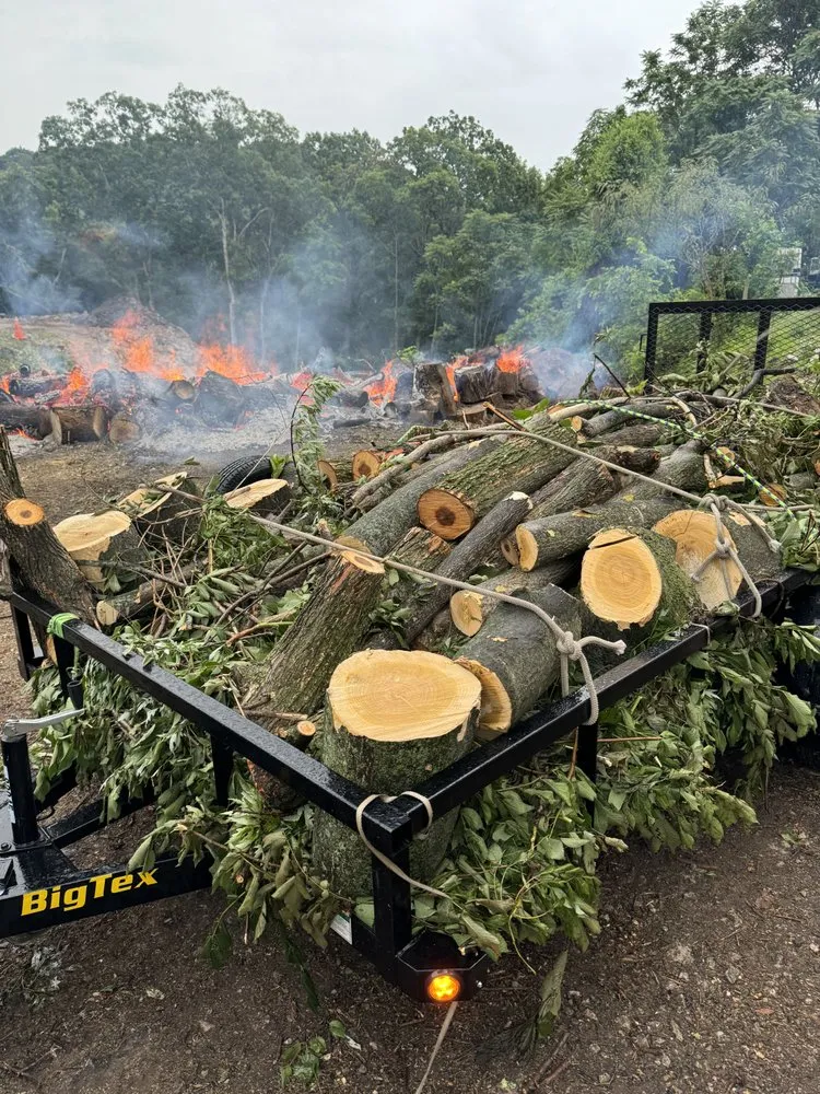 Professional landscape design in Saint Louis, MO - Gomez Landscaping & Tree Services