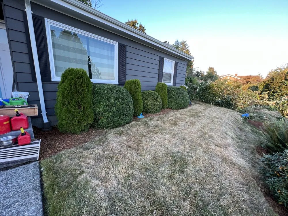 Custom landscape design for homes in Aberdeen, WA by Gomez landscaping